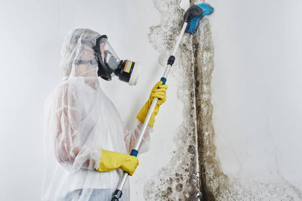 Mold Remediation for Rental Properties in Beresford, SD